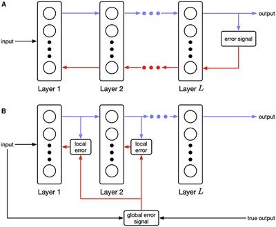 Information bottleneck-based Hebbian learning rule naturally ties working memory and synaptic updates